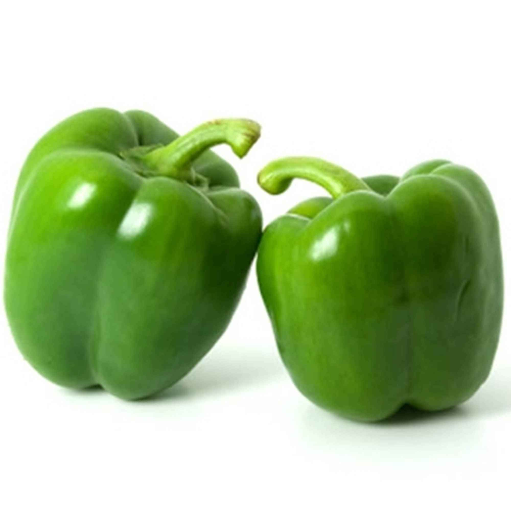 Capsicum
