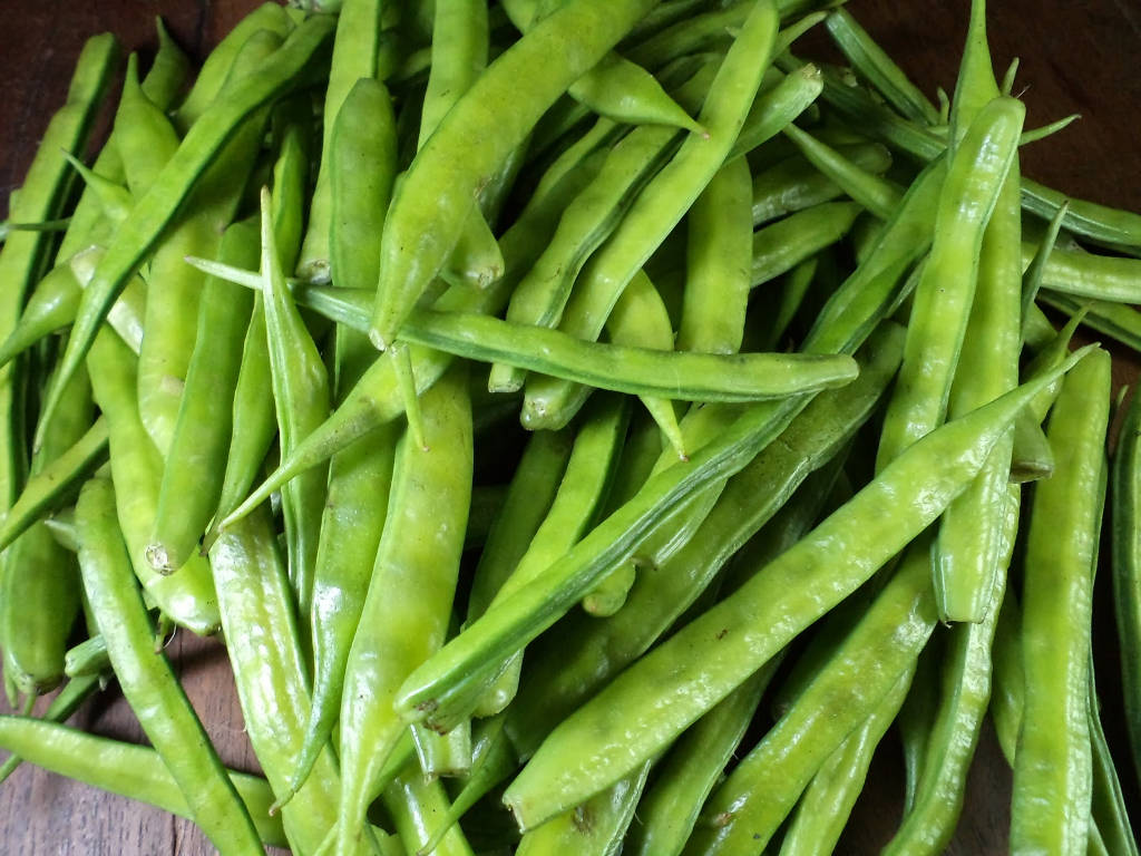 Cluster-Beans1