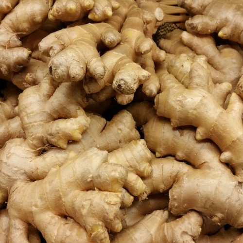 ginger ginger