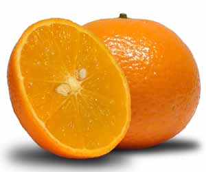 Orange Kinnow