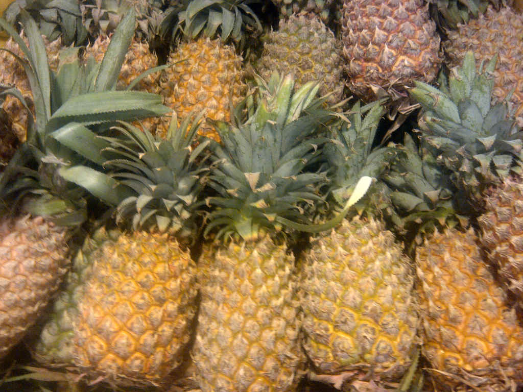 Pineapple_123 Pineapple_123