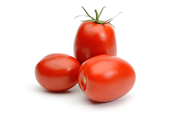 Tomato Tomato