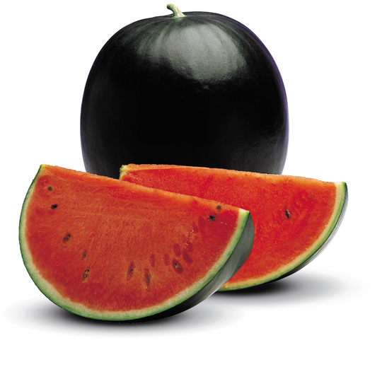 Watermelon Watermelon