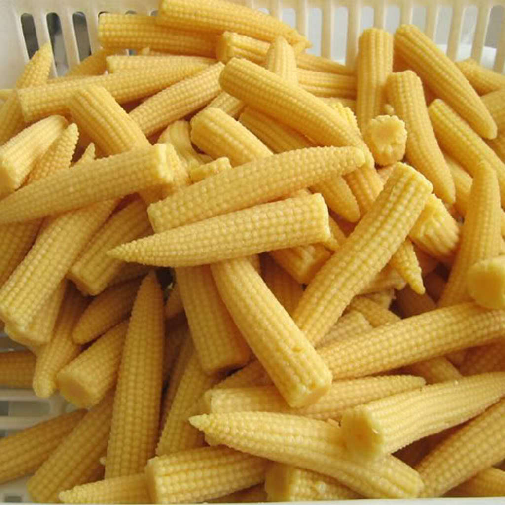 baby_corn_large baby_corn_large