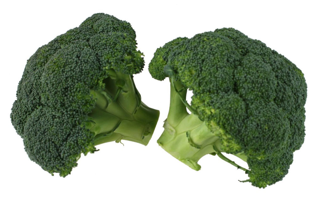 broccoli02-lg broccoli02-lg