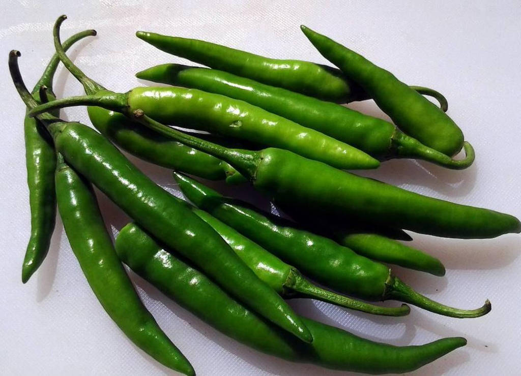 chilli chilli