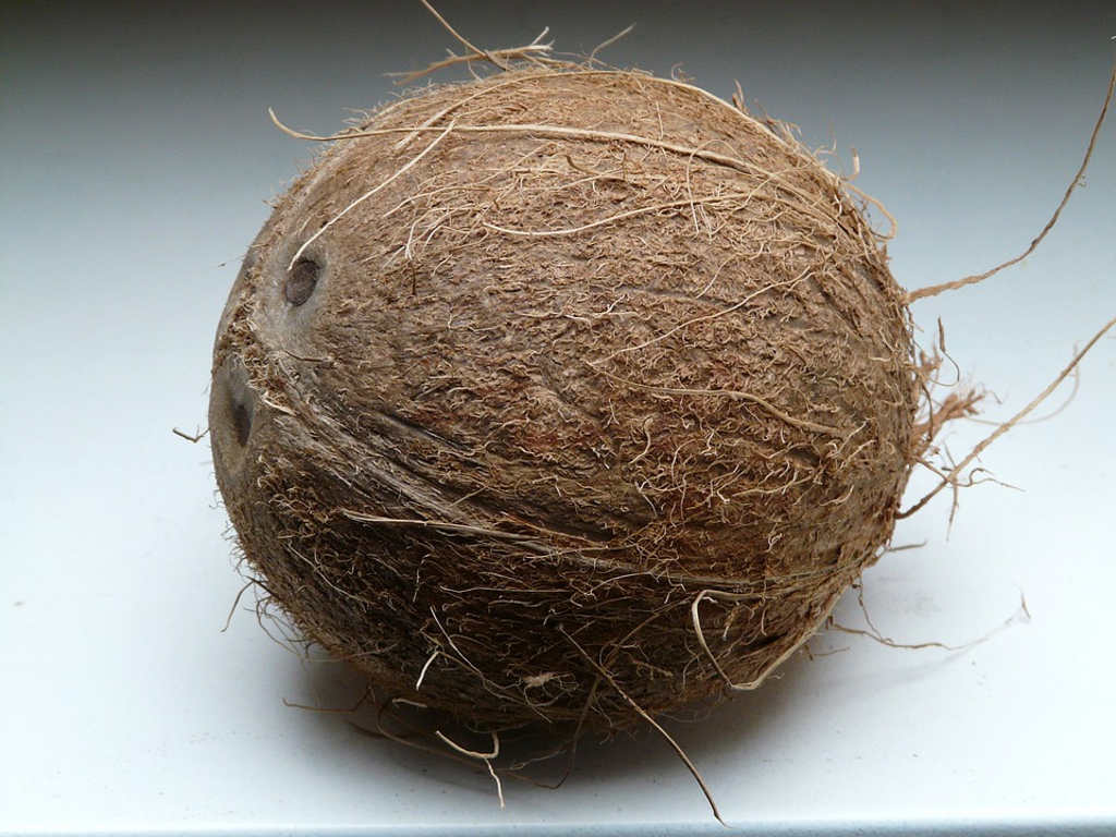 coconut-60392_960_720