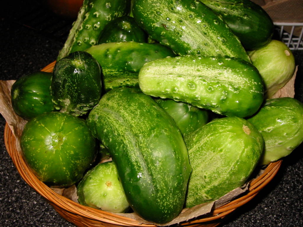 green_Cucumbers