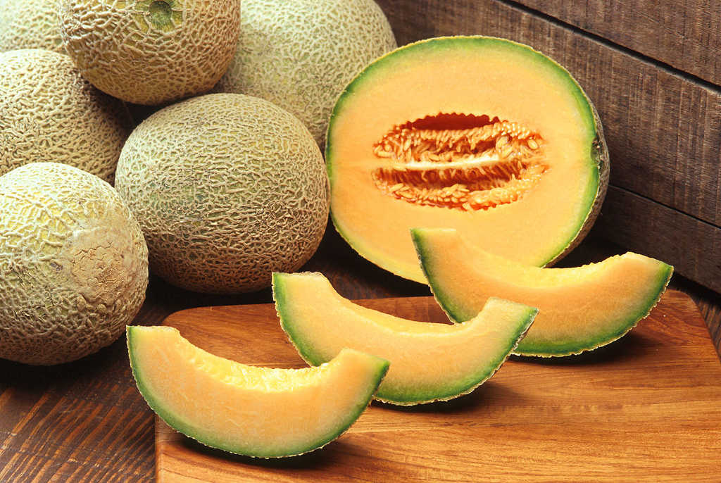 musk_melon musk_melon