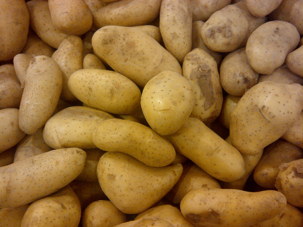 potato potato