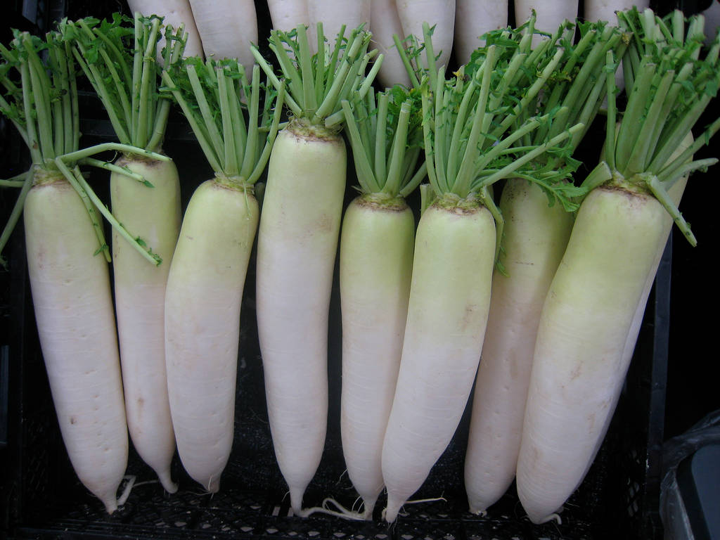 radish