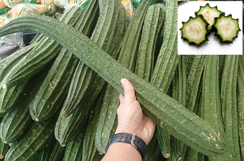 ridge_gourd