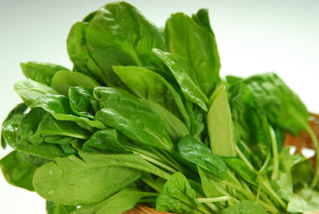 spinach spinach
