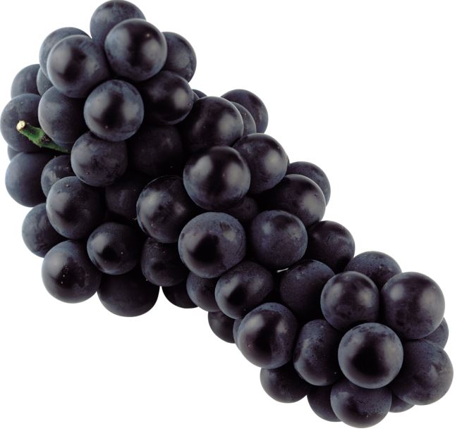grapes-black