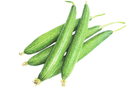 Sponge Gourd